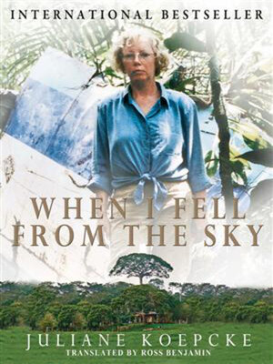 cover image of When I Fell From the Sky